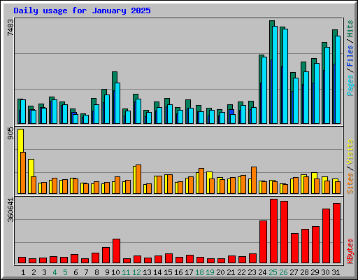 Daily usage for January 2025