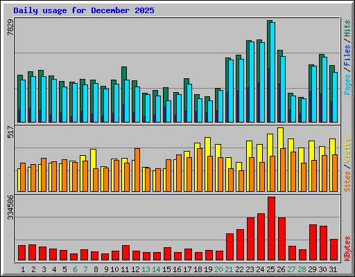 Daily usage for December 2025