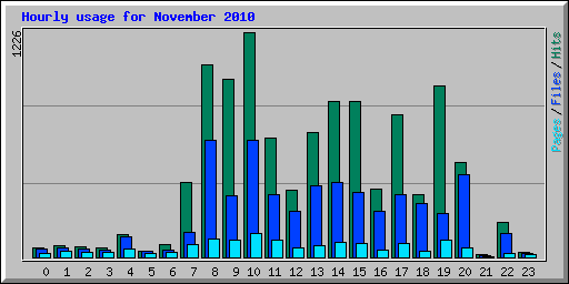 Hourly usage for November 2010