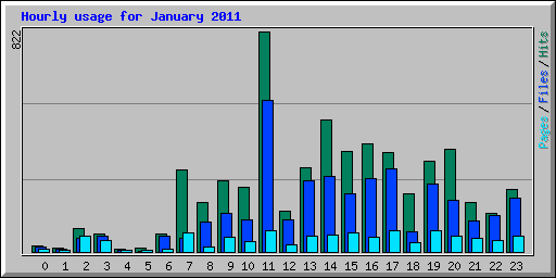 Hourly usage for January 2011