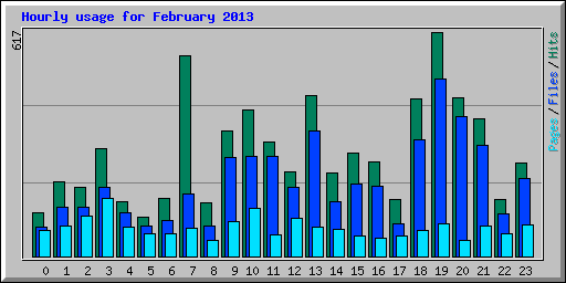 Hourly usage for February 2013