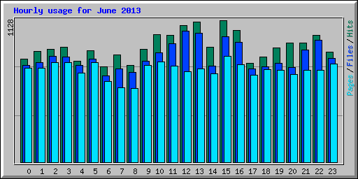 Hourly usage for June 2013