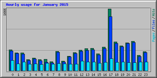 Hourly usage for January 2015