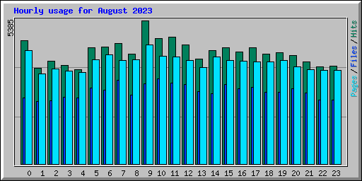 Hourly usage for August 2023