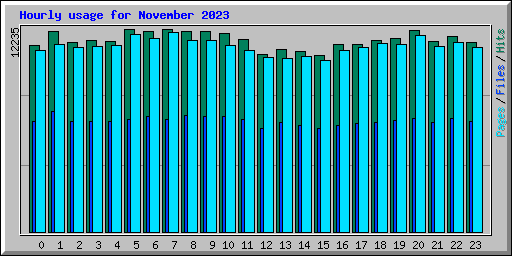 Hourly usage for November 2023