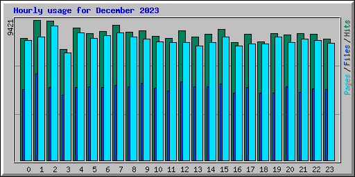 Hourly usage for December 2023