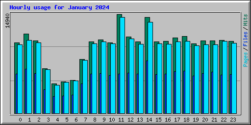Hourly usage for January 2024