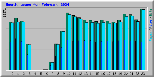 Hourly usage for February 2024