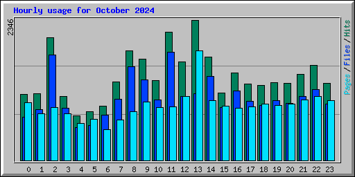 Hourly usage for October 2024