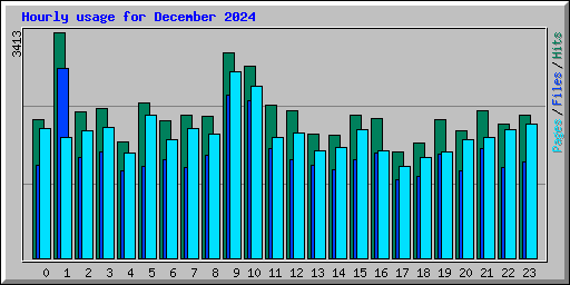 Hourly usage for December 2024
