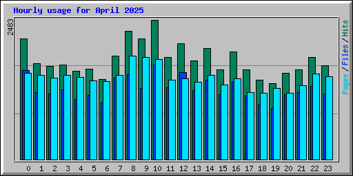 Hourly usage for April 2025