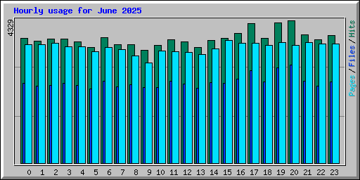 Hourly usage for June 2025