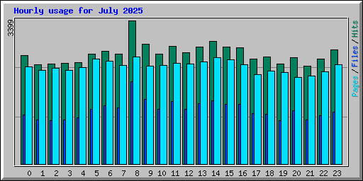 Hourly usage for July 2025