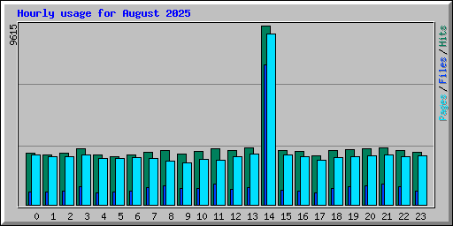 Hourly usage for August 2025