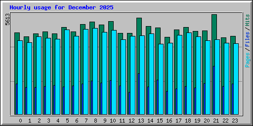 Hourly usage for December 2025