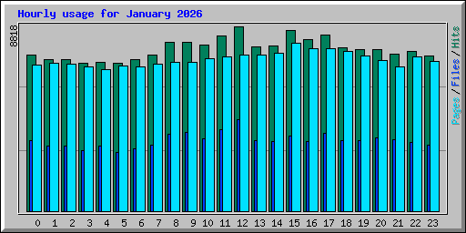 Hourly usage for January 2026