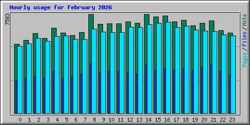 Hourly usage for February 2026