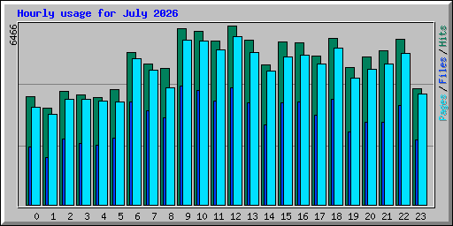 Hourly usage for July 2026