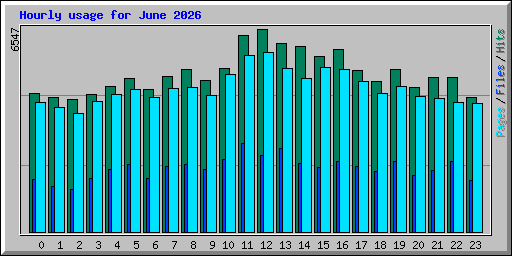 Hourly usage for June 2026